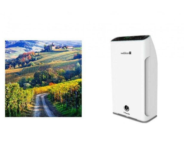Webber Outlet OCZYSZCZACZ POWIETRZA WEBBER AP8700 [#] - 1564541 - zdjęcie